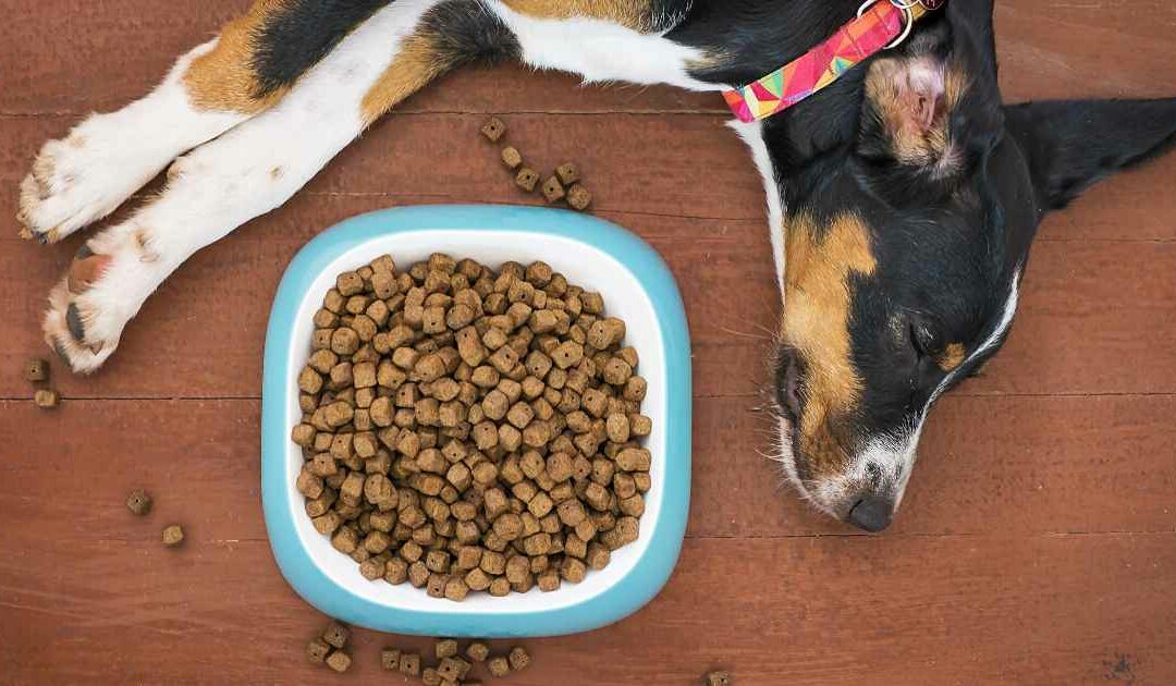Les bienfaits de la nourriture Royal Canin pour vos chiens et chats
