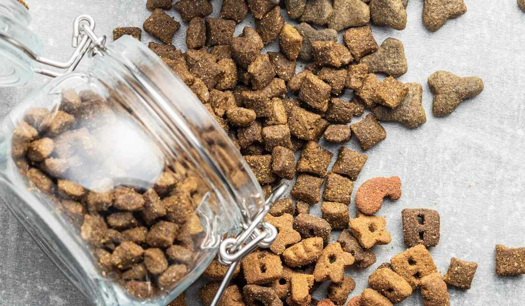 Purina One : une option complète pour l’alimentation de vos compagnons à quatre pattes