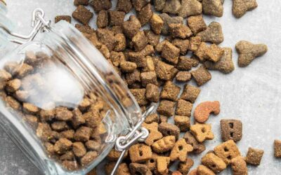 Purina One : une option complète pour l’alimentation de vos compagnons à quatre pattes