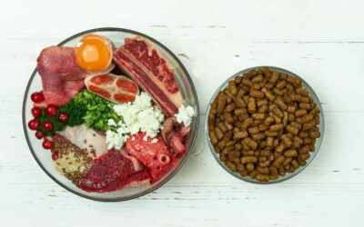 Nutro : des recettes naturelles pour chiens et chats