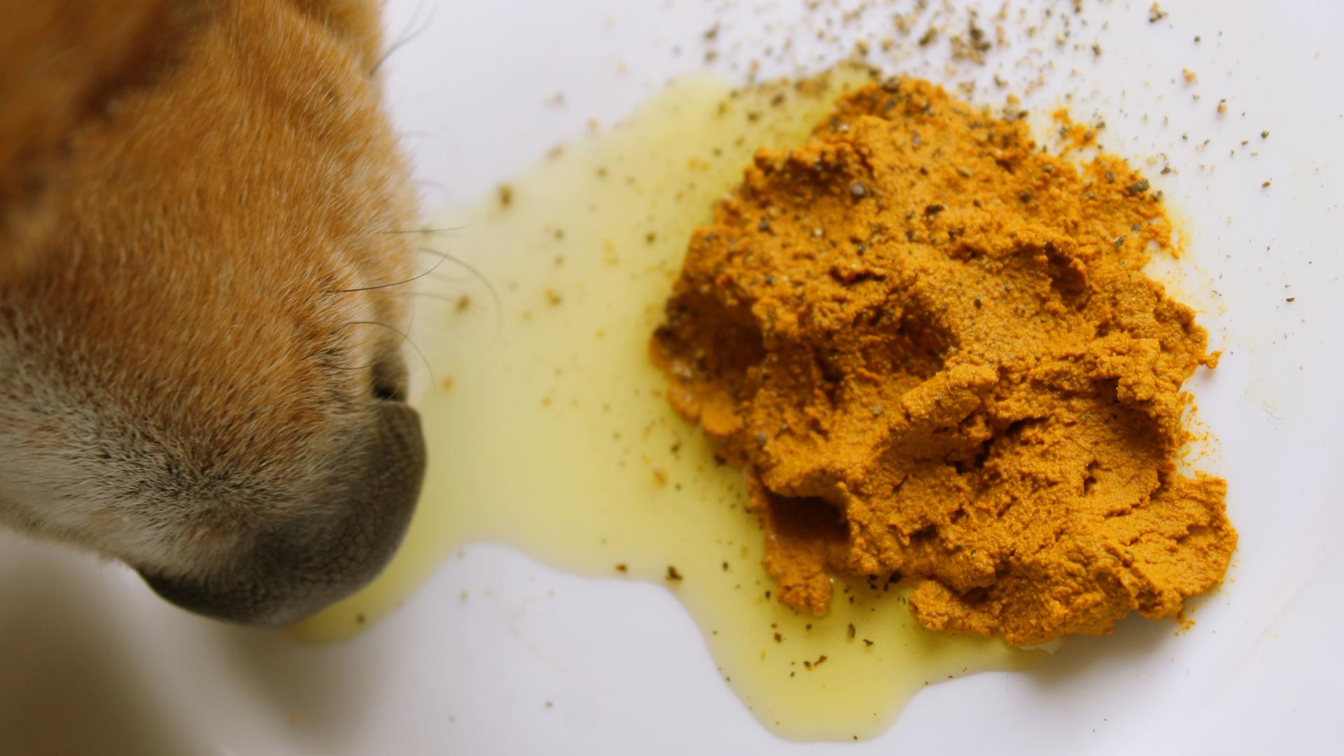 compléments alimentaires