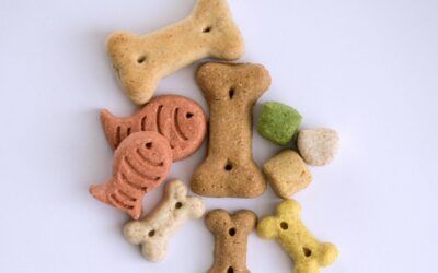 Avis sur les friandises pour chats Whiskas : sont-elles bonnes pour votre animal ?