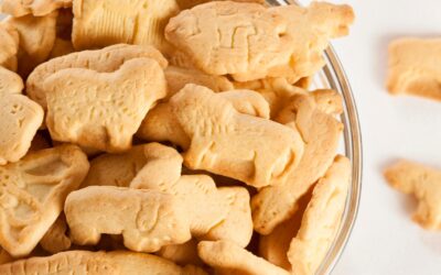 Les avantages et inconvénients de la nourriture bio pour animaux